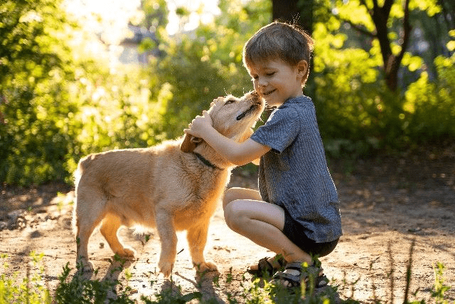 Você sabe qual é a melhor raça de cachorro para combinar com seu Filho?