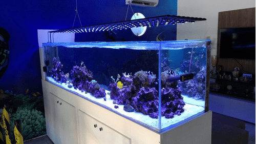 LED de aquario para peixe